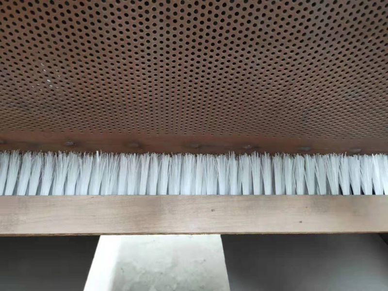滚筒初清筛