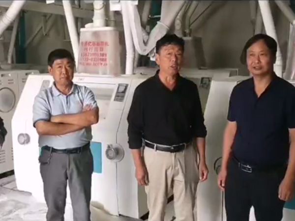 面粉厂试车成功